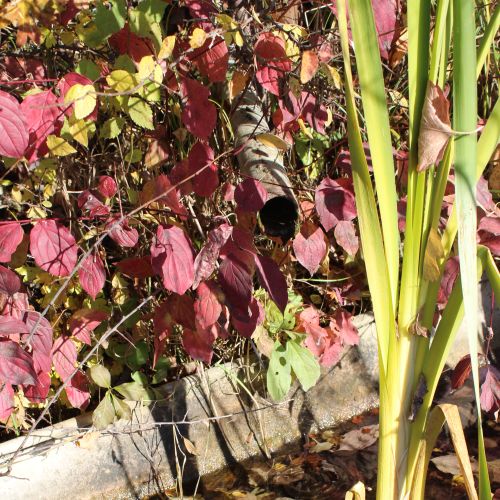 Spring Záhumnie, Liptovské Sliače – Nižný