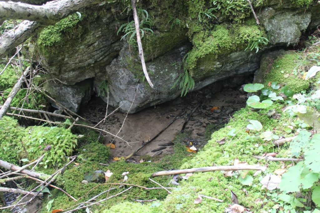 Prameň nad Medzi Hroblami, Lisková 01 Prameň nad Medzi Hroblami, Lisková 01