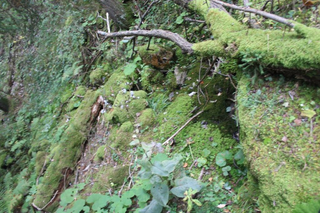 Prameň nad Medzi Hroblami, Lisková 02 Prameň nad Medzi Hroblami, Lisková 02