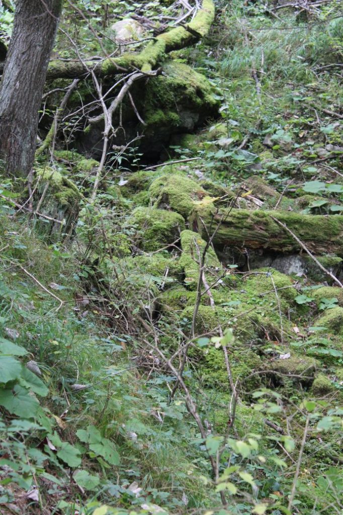 Prameň nad Medzi Hroblami, Lisková 03 Prameň nad Medzi Hroblami, Lisková 03