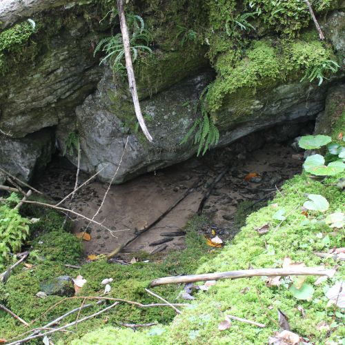 Spring above Medzi Hroblami, Lisková