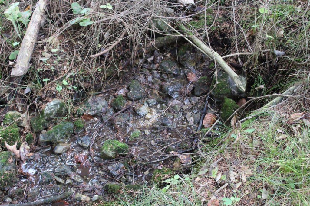 Prameň nad Nemeckými domkami, Ružomberok 01 Prameň nad Nemeckými domkami, Ružomberok 01