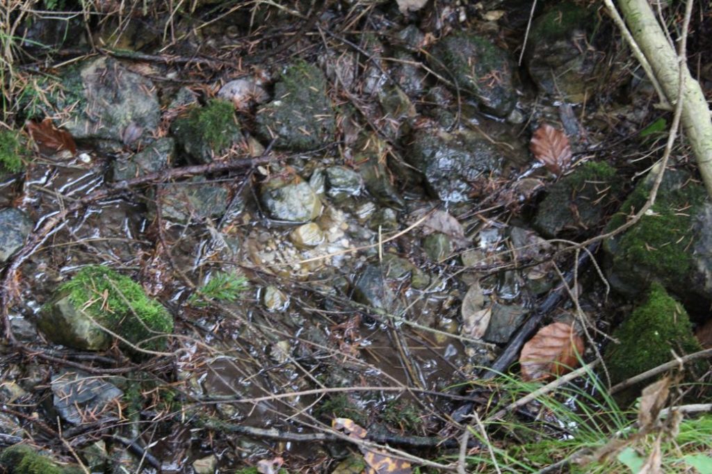 Prameň nad Nemeckými domkami, Ružomberok 02 Prameň nad Nemeckými domkami, Ružomberok 02