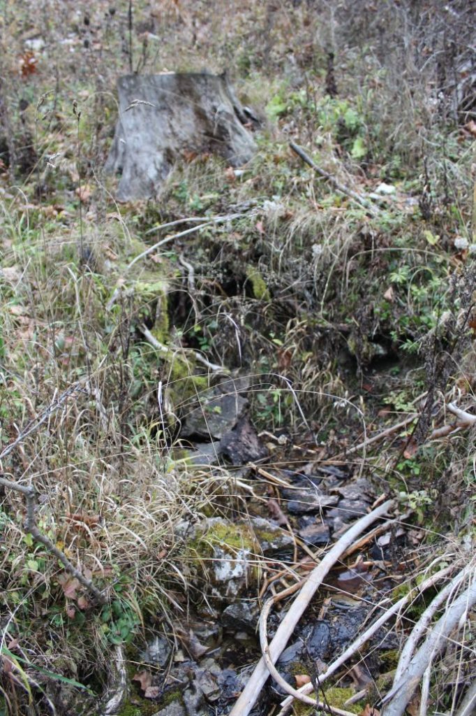 Prameň nad Nemeckými domkami, Ružomberok 03 Prameň nad Nemeckými domkami, Ružomberok 03