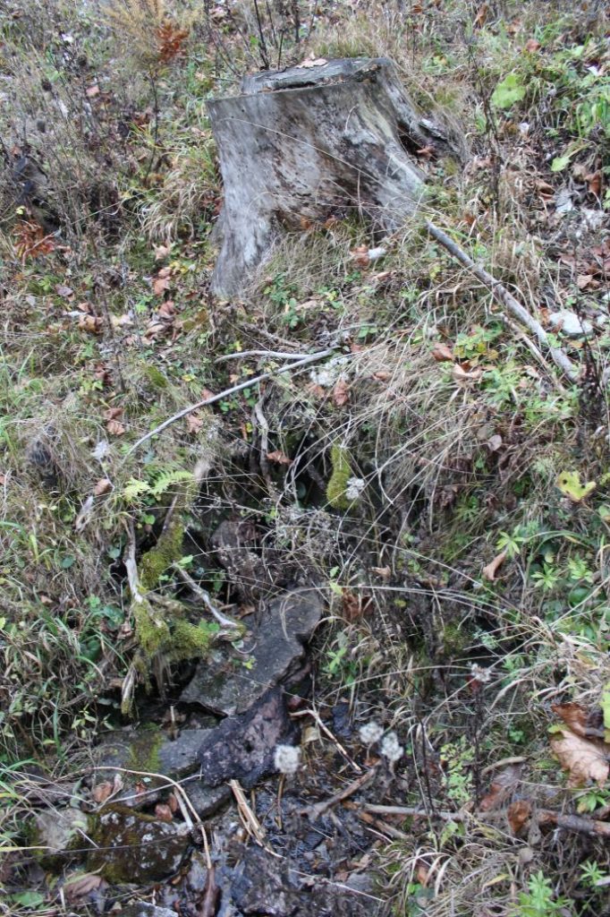 Prameň nad Nemeckými domkami, Ružomberok 04 Prameň nad Nemeckými domkami, Ružomberok 04