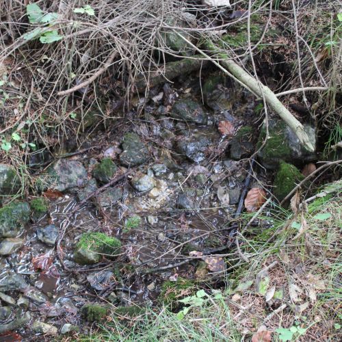 Spring above Nemecké Domky, Ružomberok
