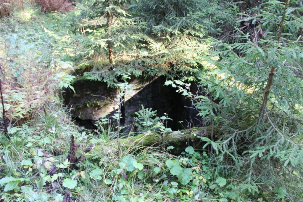 Prameň nad chodníkom nad areálom na Smrekovici, Ružomberok 04