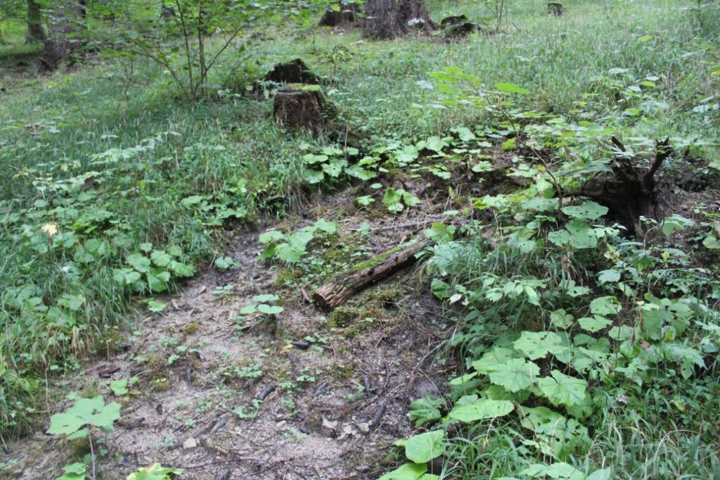 Prameň nad obrovými okuliarmi, Ružomberok 03