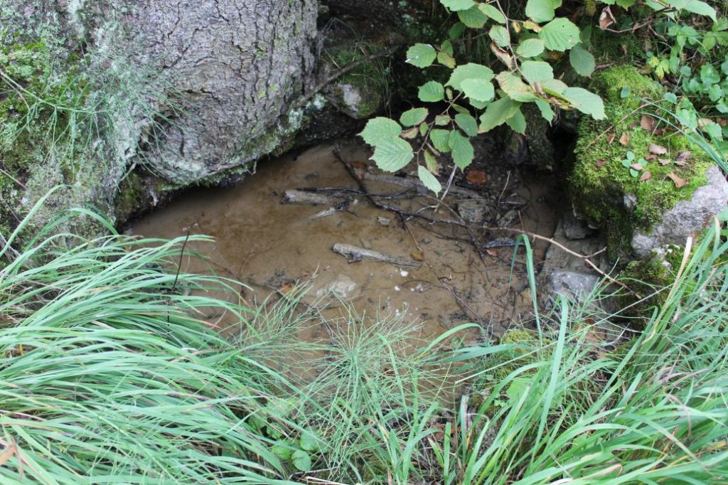 Prameň nad traťou Blizzard, Ružomberok 01