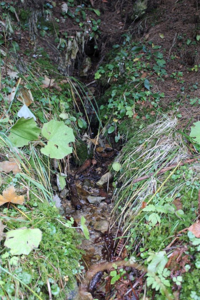 Prameň pod Bohúňovom, Liptovská Štiavnica 05
