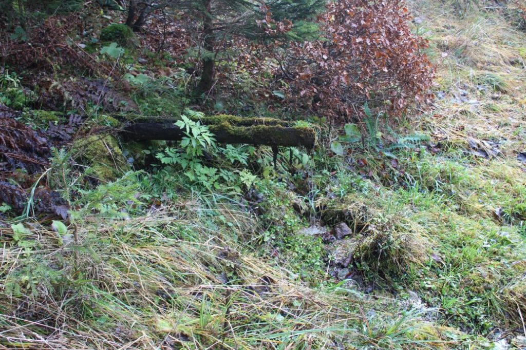 Prameň pod Bohúňovom, Liptovská Štiavnica 06