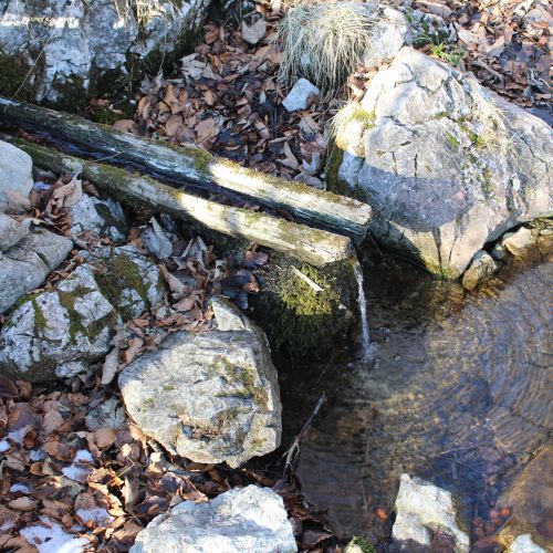 Spring below Čierny Kameň – Koniarka, Liptovské Revúce