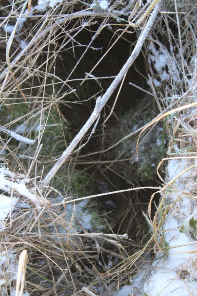 Prameň pod Dielcom, Kalameny 02