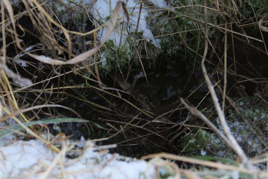 Prameň pod Dielcom, Kalameny 03