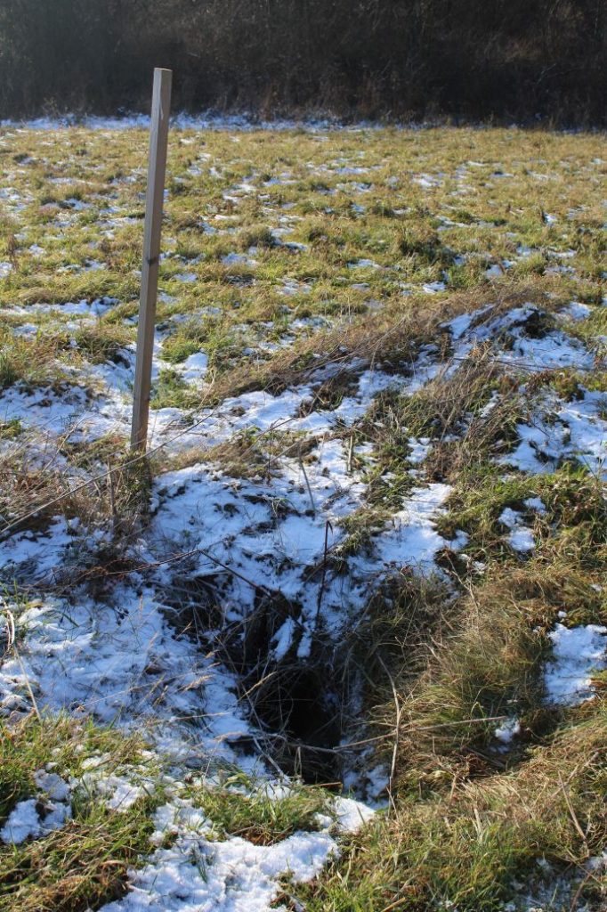 Prameň pod Dielcom, Kalameny 04