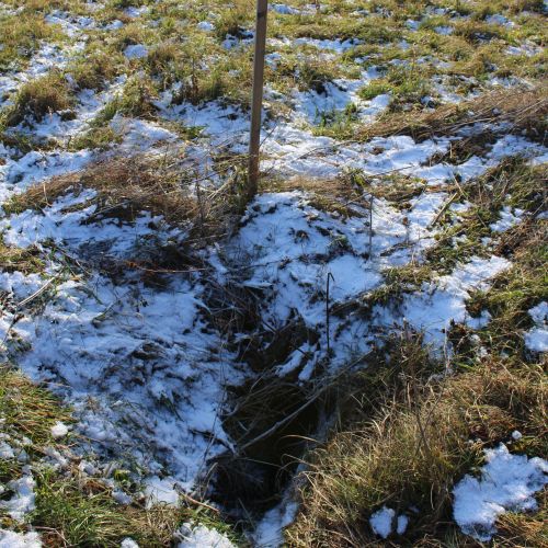 Spring below Dielec, Kalameny