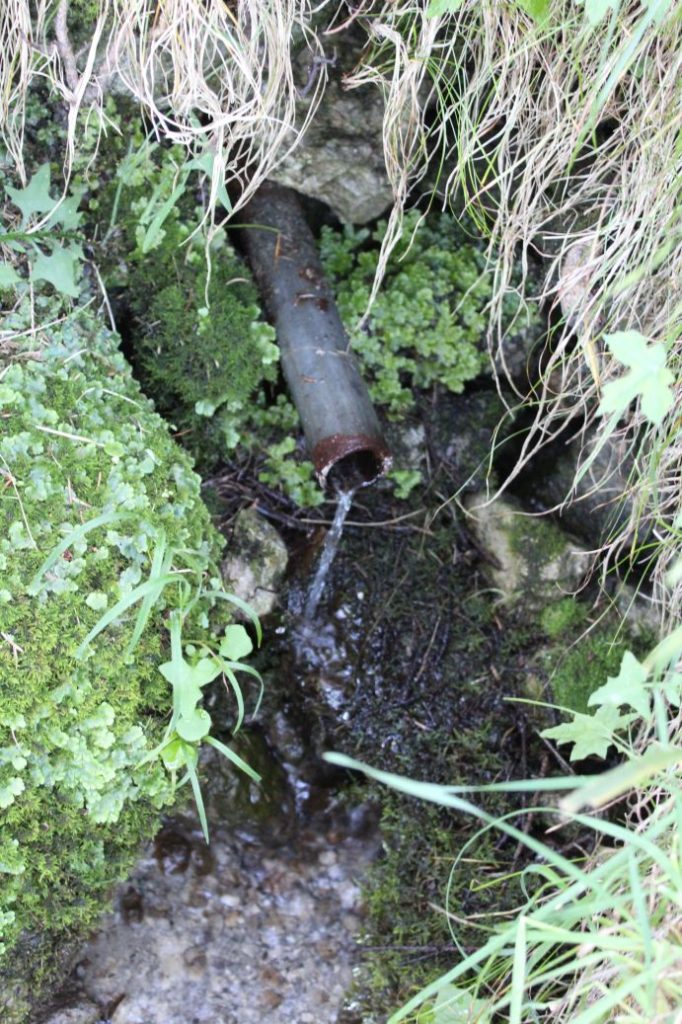 Prameň pod Sidorovom - nad Opršalovom, Ružomberok 01 Prameň pod Sidorovom - nad Opršalovom, Ružomberok 01