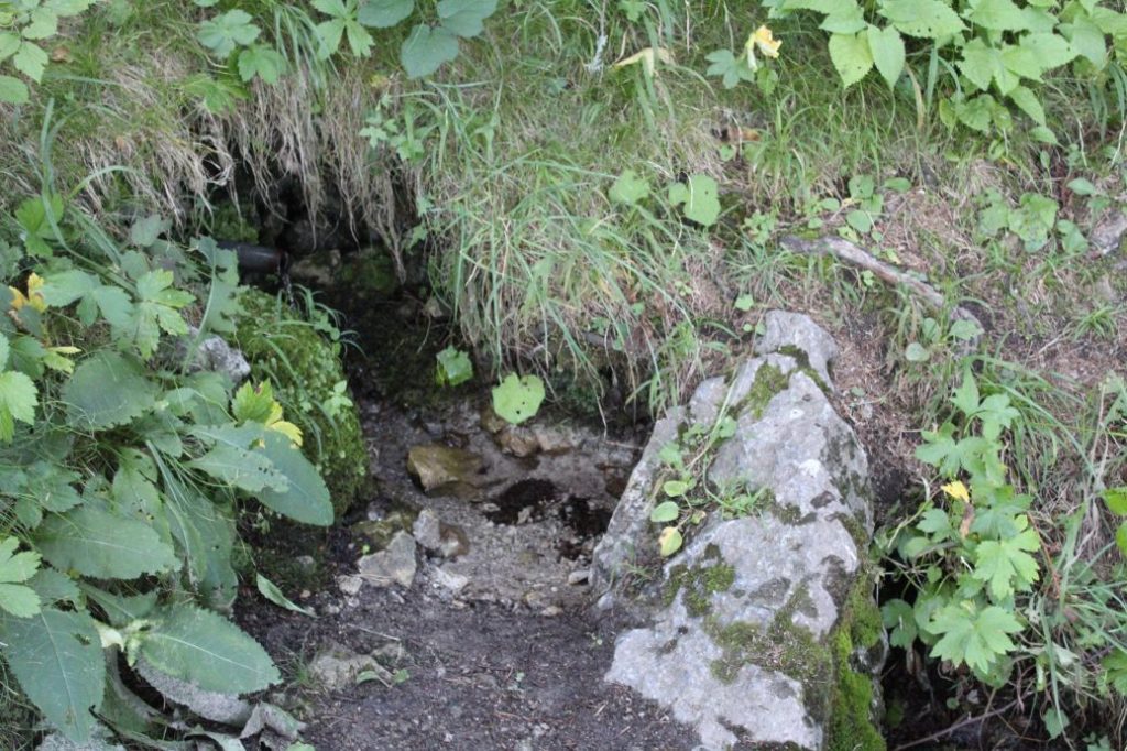 Prameň pod Sidorovom - nad Opršalovom, Ružomberok 02 Prameň pod Sidorovom - nad Opršalovom, Ružomberok 02