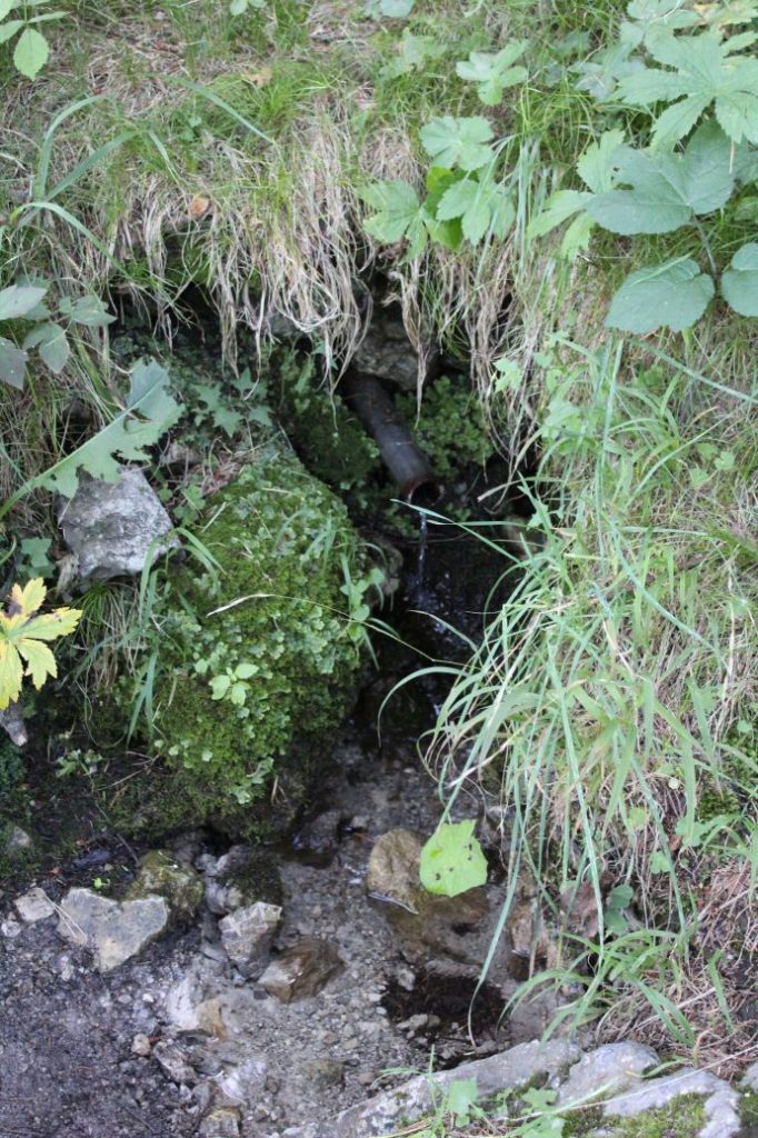 Prameň pod Sidorovom - nad Opršalovom, Ružomberok 03 Prameň pod Sidorovom - nad Opršalovom, Ružomberok 03