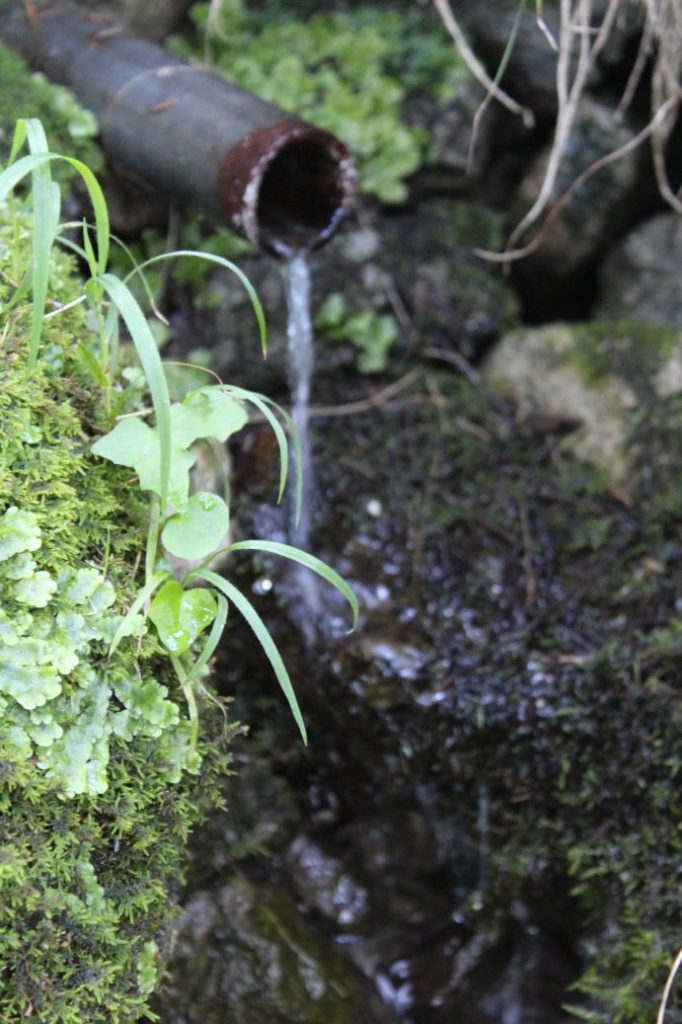 Prameň pod Sidorovom - nad Opršalovom, Ružomberok 04 Prameň pod Sidorovom - nad Opršalovom, Ružomberok 04