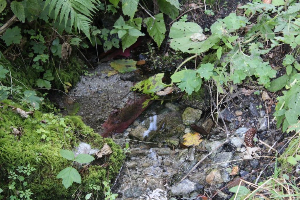 Prameň pod Záklučím, Ružomberok - Vyšné Matejkovo 02 Prameň pod Záklučím, Ružomberok - Vyšné Matejkovo 02