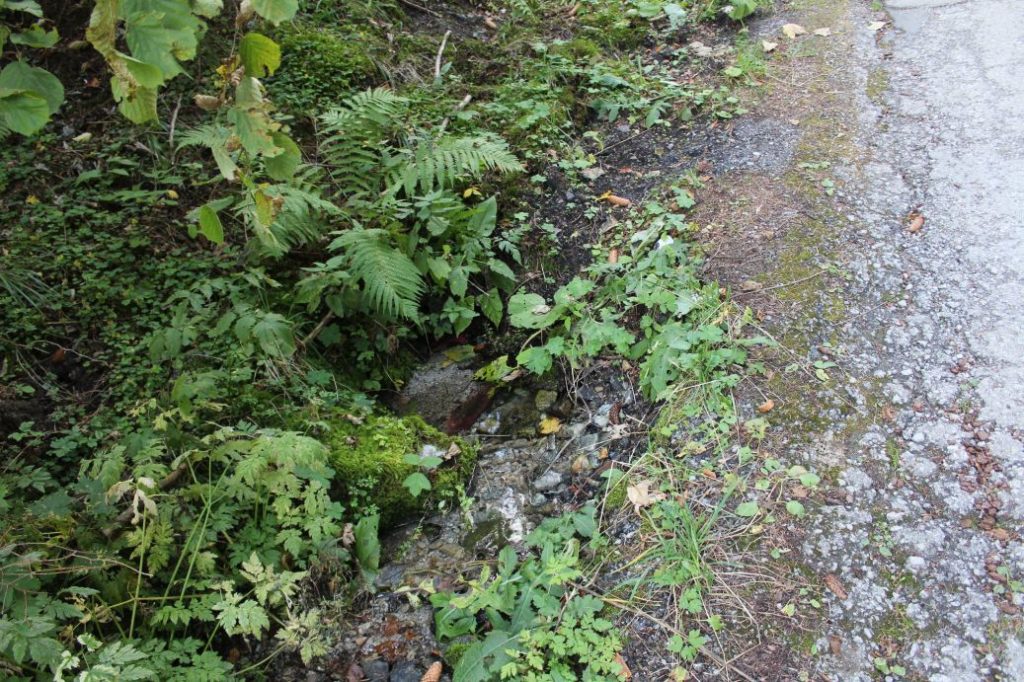 Prameň pod Záklučím, Ružomberok - Vyšné Matejkovo 03 Prameň pod Záklučím, Ružomberok - Vyšné Matejkovo 03