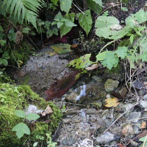 Spring below Záklučie, Ružomberok – Vyšné Matejkovo