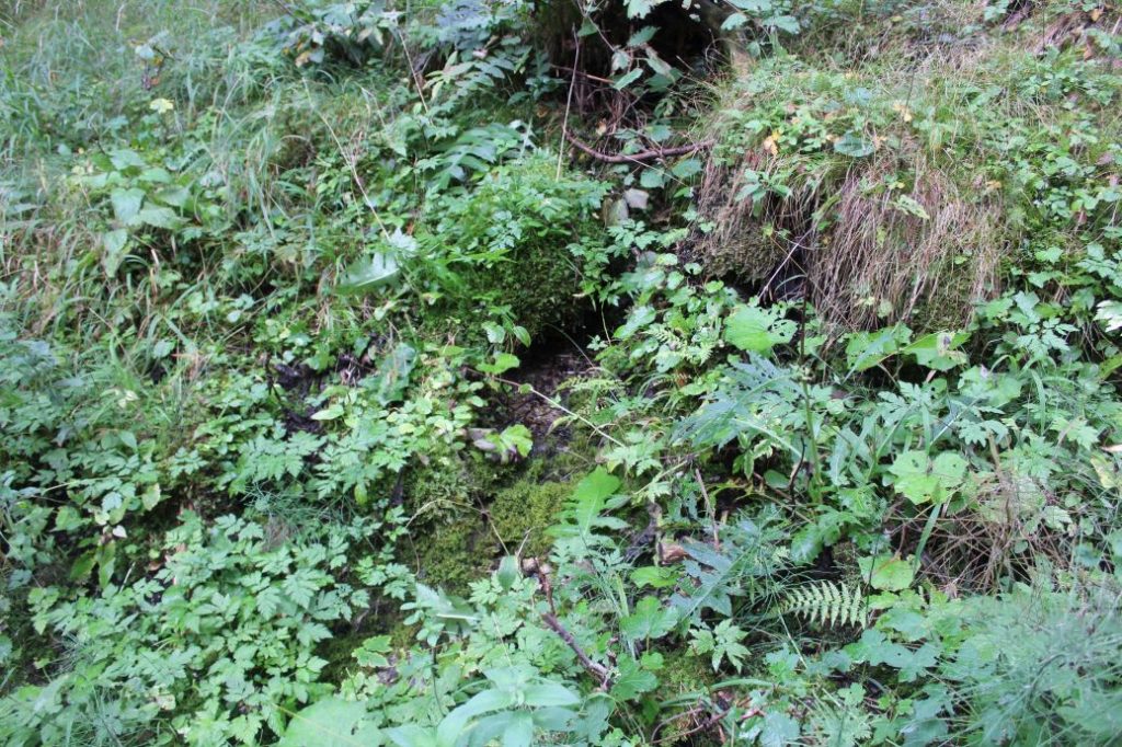 Prameň pod chatovou osadou Šimúnovo, Ružomberok 02 Prameň pod chatovou osadou Šimúnovo, Ružomberok 02