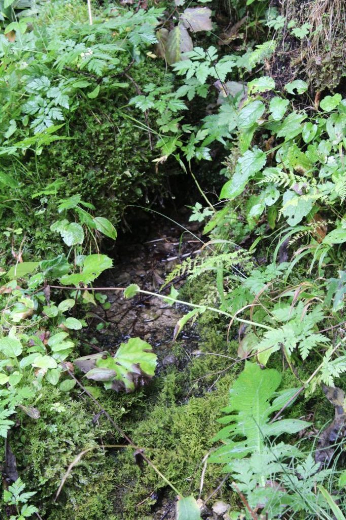 Prameň pod chatovou osadou Šimúnovo, Ružomberok 03 Prameň pod chatovou osadou Šimúnovo, Ružomberok 03