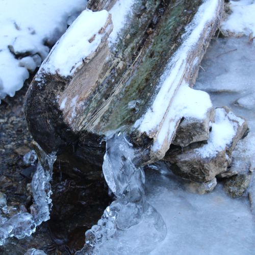 Spring by notch Sedlo pod Čiernym Kameňom, Ľubochňa