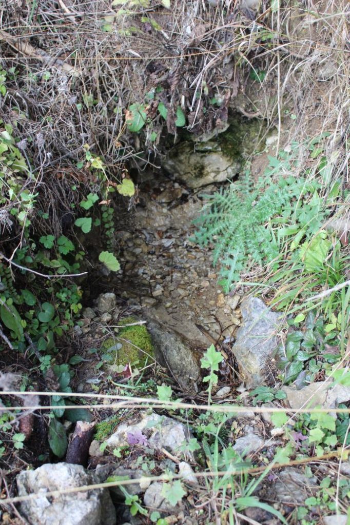 Prameň pri Vyšnom jazierku medzi Čebraťmi, Likavka 03 Prameň pri Vyšnom jazierku medzi Čebraťmi, Likavka 03