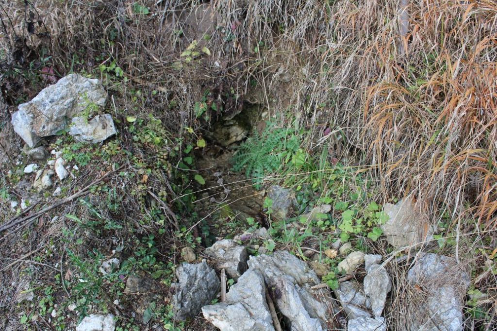 Prameň pri Vyšnom jazierku medzi Čebraťmi, Likavka 04 Prameň pri Vyšnom jazierku medzi Čebraťmi, Likavka 04