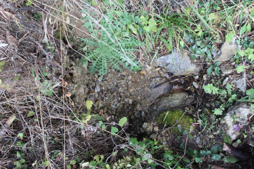 Prameň pri Vyšnom jazierku medzi Čebraťmi, Likavka 05 Prameň pri Vyšnom jazierku medzi Čebraťmi, Likavka 05