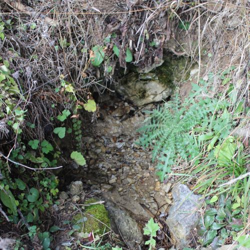 Spring by Vyšné Lake between Čebrať hills, Likavka