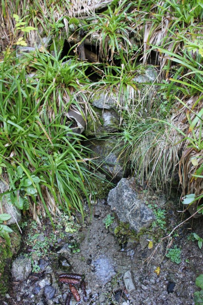 Prameň pri chodníku nad areálom na Smrekovici, Ružomberok 01