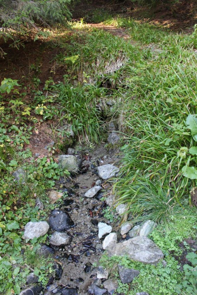 Prameň pri chodníku nad areálom na Smrekovici, Ružomberok 04