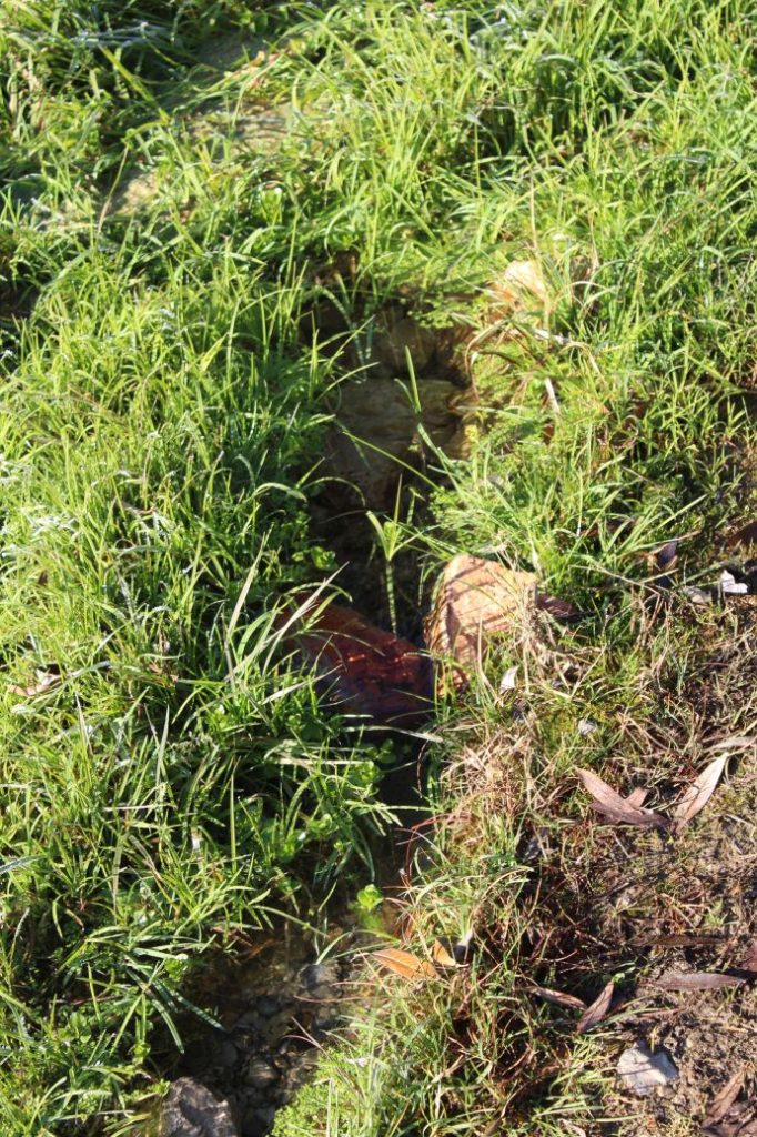 Prameň pri jazierku, Kalameny 02