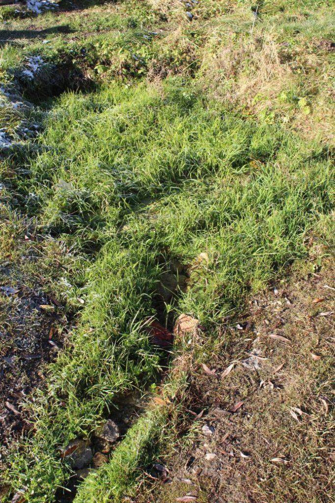 Prameň pri jazierku, Kalameny 03