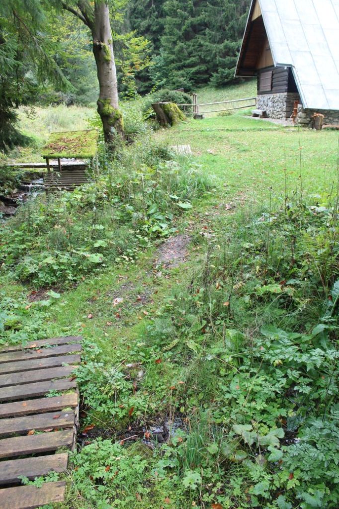 Prameň pri studničke Šimúnovo, Ružomberok 01