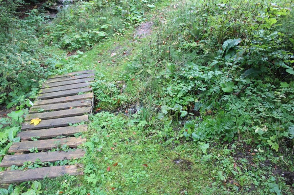 Prameň pri studničke Šimúnovo, Ružomberok 03