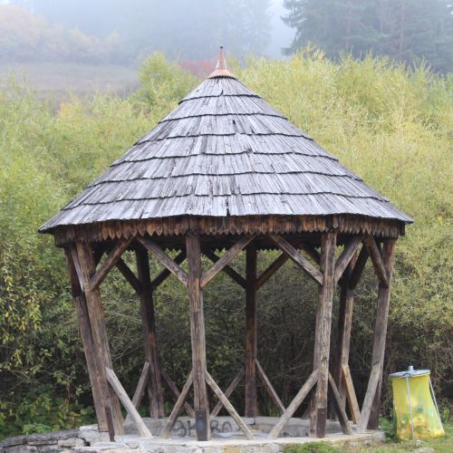 Príroda lieči: Vitamíny a minerály z Ludrovských lúk