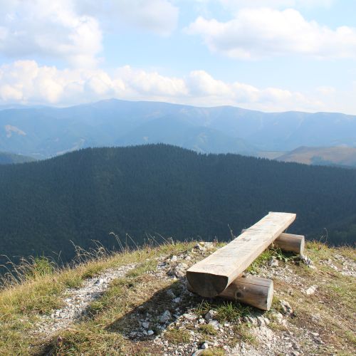 Vyhliadka v Sedle pod Malým Salatínom