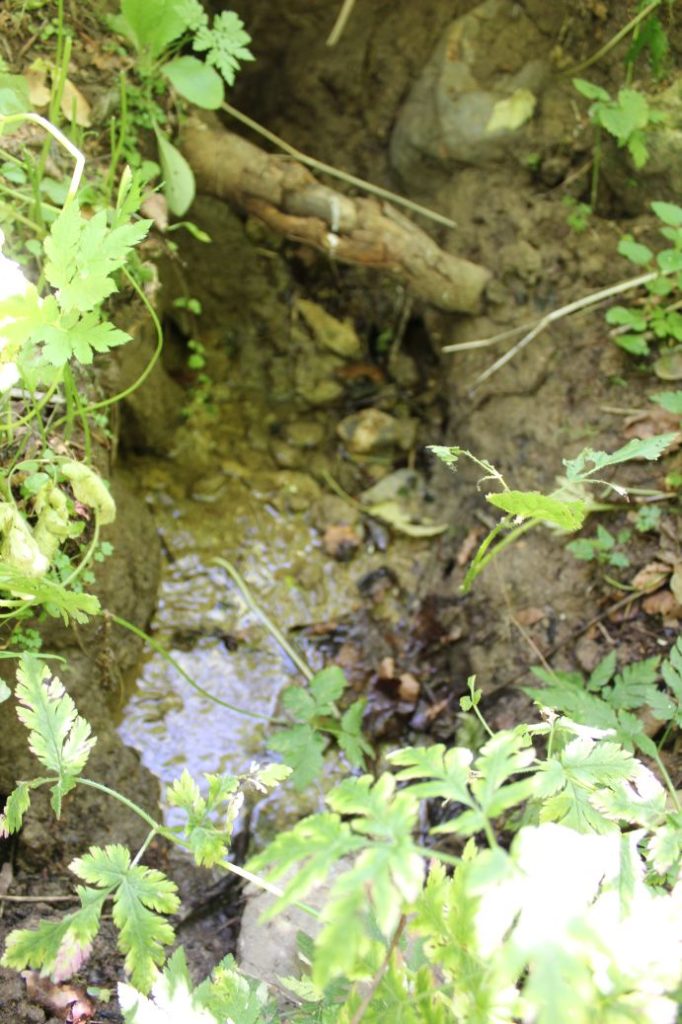 Prameň Nemcovô, Liptovská Osada 01