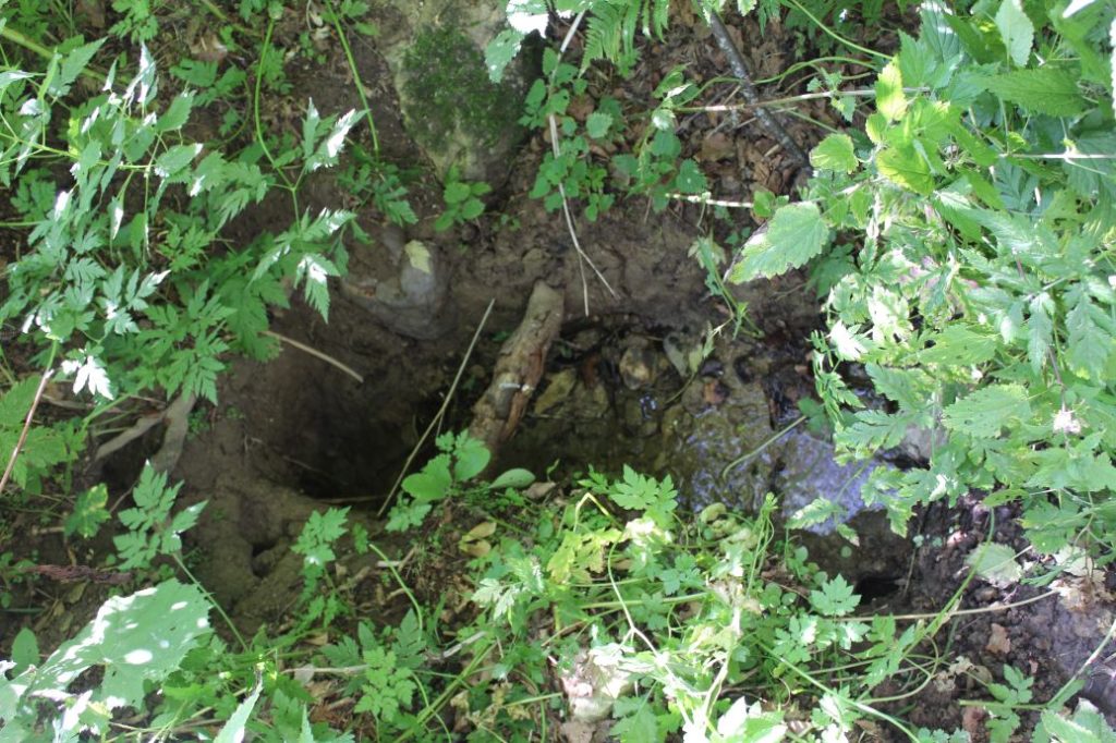 Prameň Nemcovô, Liptovská Osada 02