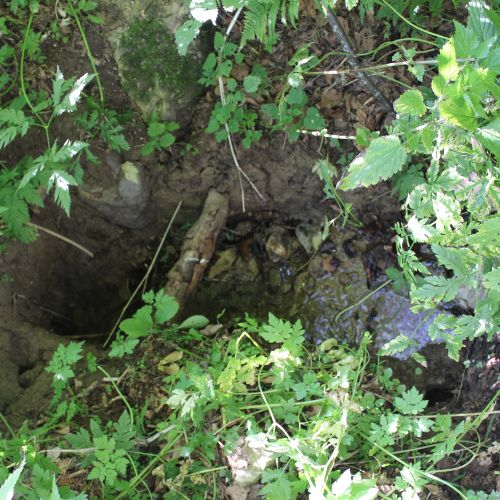 Spring Nemcovô, Liptovská Osada