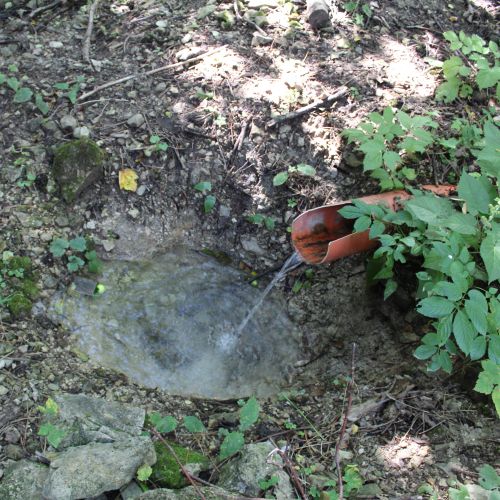 Spring Príkro, Ružomberok – Vlkolínec