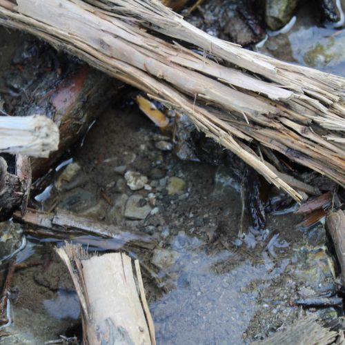 Spring Sliačanky 1, Liptovské Sliače – Stredný