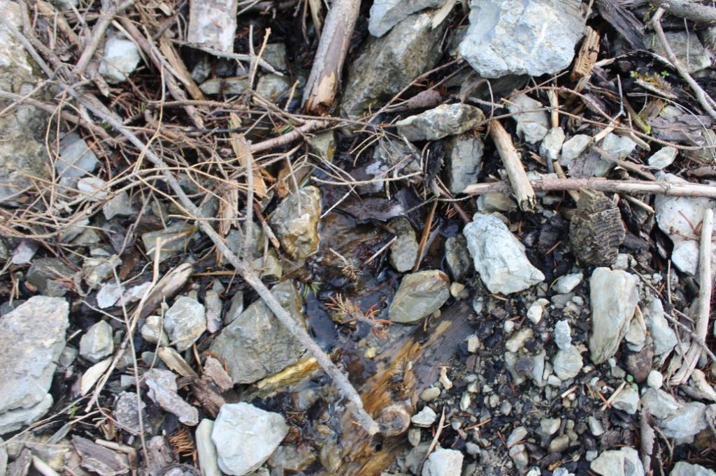 Prameň Sliačanky 2, Liptovské Sliače - Stredný 02