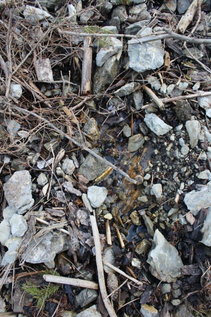 Prameň Sliačanky 2, Liptovské Sliače - Stredný 03