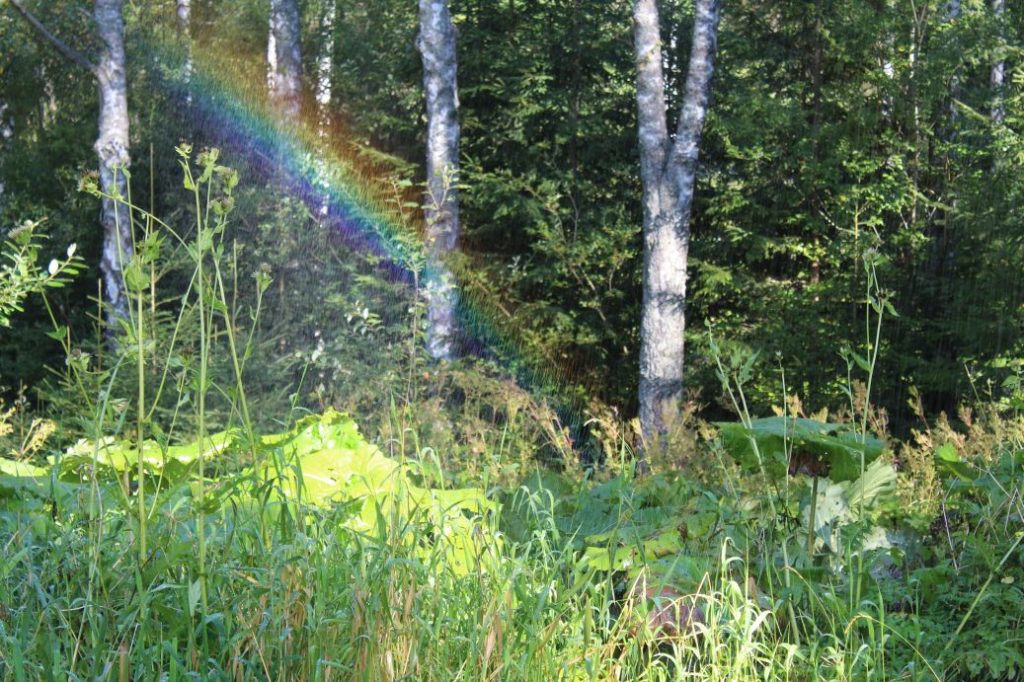 Prameň fontánka v Korytnici, Liptovská Osada 04 Prameň fontánka v Korytnici, Liptovská Osada 04